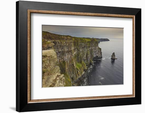 The Cliffs of Moher, near Lahinch, County Clare, Munster, Republic of Ireland, Europe-Nigel Hicks-Framed Photographic Print