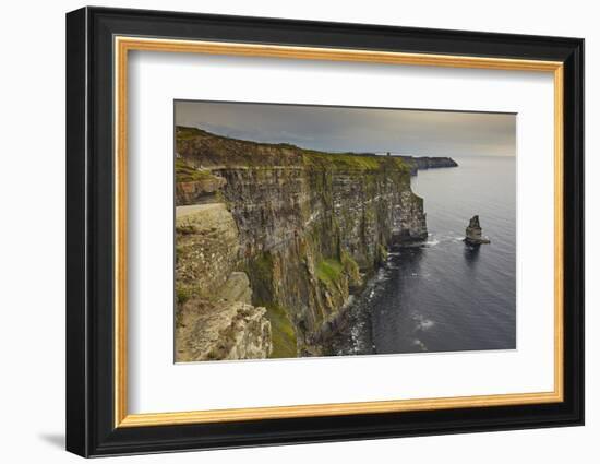 The Cliffs of Moher, near Lahinch, County Clare, Munster, Republic of Ireland, Europe-Nigel Hicks-Framed Photographic Print