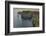 The Cliffs of Moher, near Lahinch, County Clare, Munster, Republic of Ireland, Europe-Nigel Hicks-Framed Photographic Print