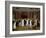 The Cloakroom, Clifton Assembly Rooms-Rolinda Sharples-Framed Giclee Print