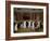 The Cloakroom, Clifton Assembly Rooms-Rolinda Sharples-Framed Giclee Print