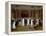 The Cloakroom, Clifton Assembly Rooms-Rolinda Sharples-Framed Premier Image Canvas