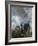 The Close, Salisbury, Wiltshire-John Constable-Framed Giclee Print