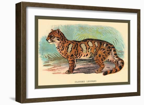 The Clouded Leopard-Sir William Jardine-Framed Art Print