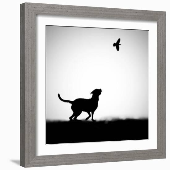 The Clue-Hengki Lee-Framed Photographic Print