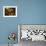The Clutterbuck Children-John Linnell-Framed Giclee Print displayed on a wall