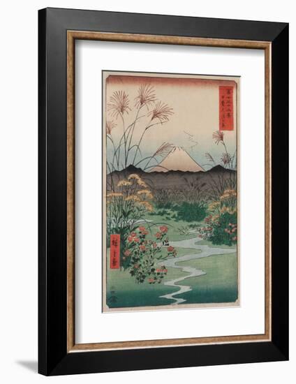 The Coast at Hota, from the series Thirty-six Views of Mount Fuji, 1858-Ando Hiroshige-Framed Art Print