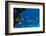 The Coastline of the island of Capri, Campania, Italy, Europe-Neil Farrin-Framed Photographic Print