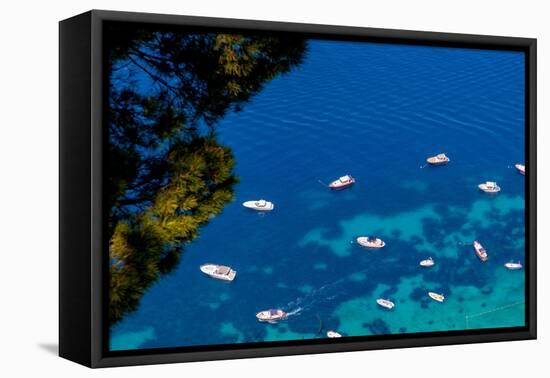 The Coastline of the island of Capri, Campania, Italy, Europe-Neil Farrin-Framed Premier Image Canvas