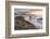 The Cobb, breakwater, Lyne Regis, Dorset, UK-Ross Hoddinott-Framed Photographic Print