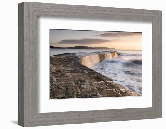 The Cobb, breakwater, Lyne Regis, Dorset, UK-Ross Hoddinott-Framed Photographic Print