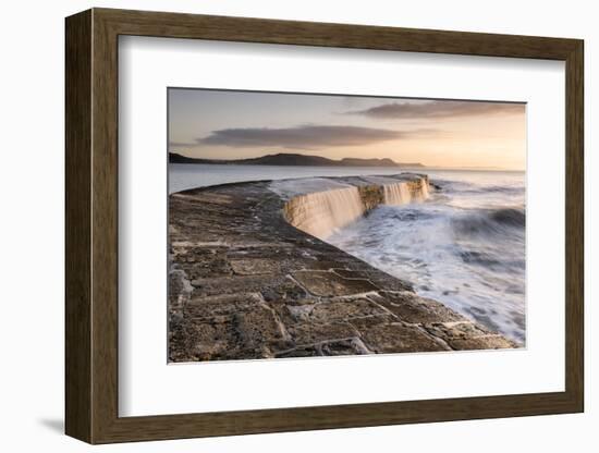 The Cobb, breakwater, Lyne Regis, Dorset, UK-Ross Hoddinott-Framed Photographic Print