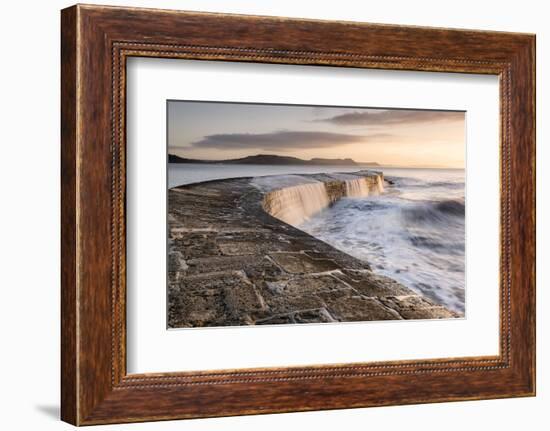 The Cobb, breakwater, Lyne Regis, Dorset, UK-Ross Hoddinott-Framed Photographic Print