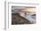 The Cobb, breakwater, Lyne Regis, Dorset, UK-Ross Hoddinott-Framed Photographic Print