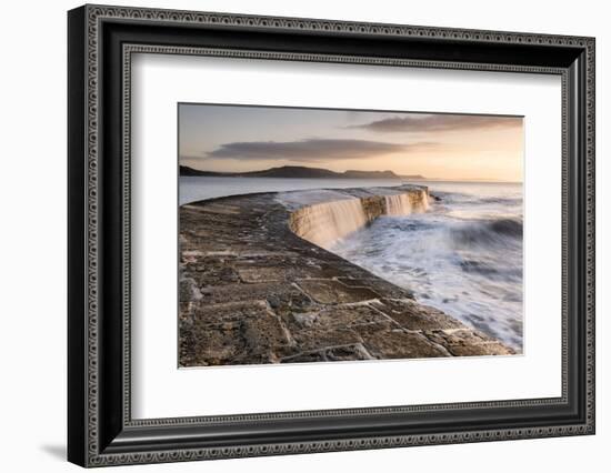 The Cobb, breakwater, Lyne Regis, Dorset, UK-Ross Hoddinott-Framed Photographic Print