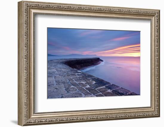 The Cobb, Lyme Regis, West Dorset, England, UK-Ross Hoddinott-Framed Photographic Print