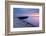 The Cobb, Lyme Regis, West Dorset, England, UK-Ross Hoddinott-Framed Photographic Print