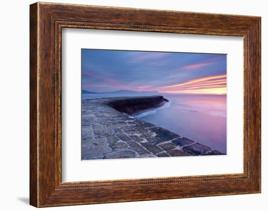 The Cobb, Lyme Regis, West Dorset, England, UK-Ross Hoddinott-Framed Photographic Print