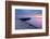 The Cobb, Lyme Regis, West Dorset, England, UK-Ross Hoddinott-Framed Photographic Print