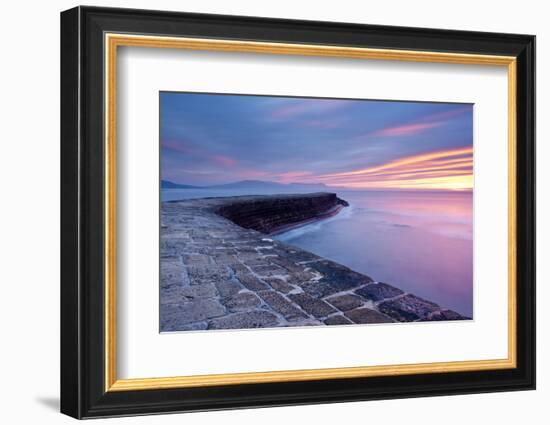 The Cobb, Lyme Regis, West Dorset, England, UK-Ross Hoddinott-Framed Photographic Print