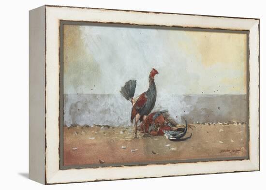 The Cock Fight, 1885-Winslow Homer-Framed Premier Image Canvas