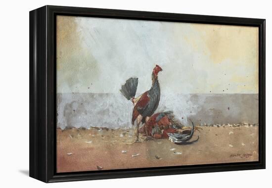 The Cock Fight, 1885-Winslow Homer-Framed Premier Image Canvas