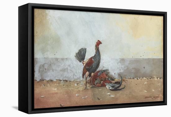 The Cock Fight, 1885-Winslow Homer-Framed Premier Image Canvas