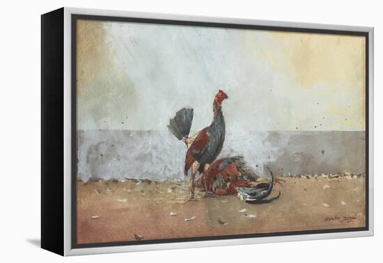 The Cock Fight, 1885-Winslow Homer-Framed Premier Image Canvas