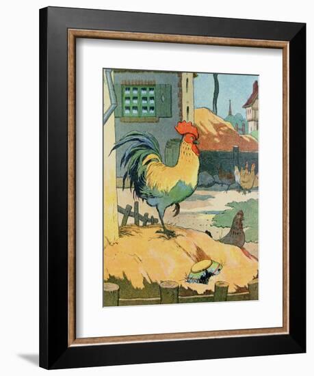 The Cock, Illustration from 'Le Buffon de Benjamin Rabier', Adapted from 'Histoire Naturelle' of…-Benjamin Rabier-Framed Giclee Print