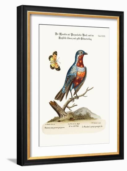 The Cock Purple-Breasted Manakin, 1749-73-George Edwards-Framed Giclee Print