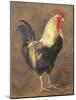 The Cockerel, 1999-Antonia Myatt-Mounted Giclee Print