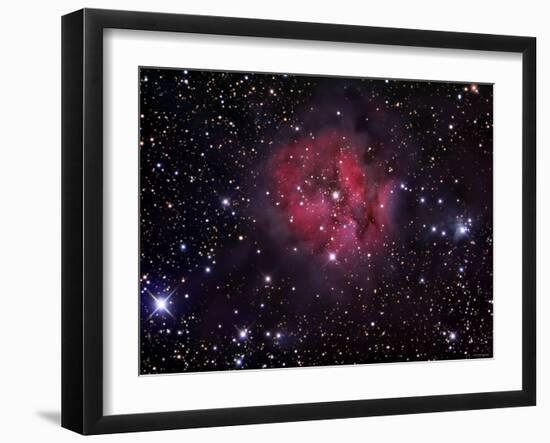 The Cocoon Nebul-Stocktrek Images-Framed Photographic Print