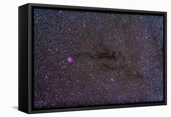 The Cocoon Nebula in the Constellation Cygnus-null-Framed Premier Image Canvas