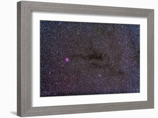 The Cocoon Nebula in the Constellation Cygnus-null-Framed Photographic Print