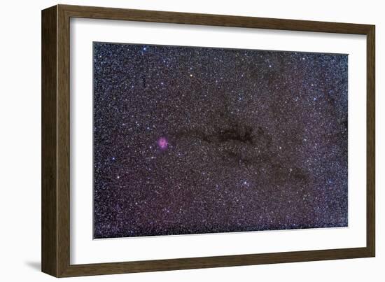 The Cocoon Nebula in the Constellation Cygnus-null-Framed Photographic Print