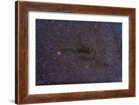 The Cocoon Nebula in the Constellation Cygnus-null-Framed Photographic Print