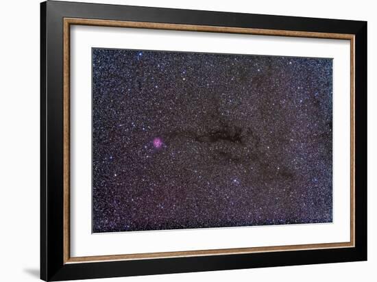 The Cocoon Nebula in the Constellation Cygnus-null-Framed Photographic Print