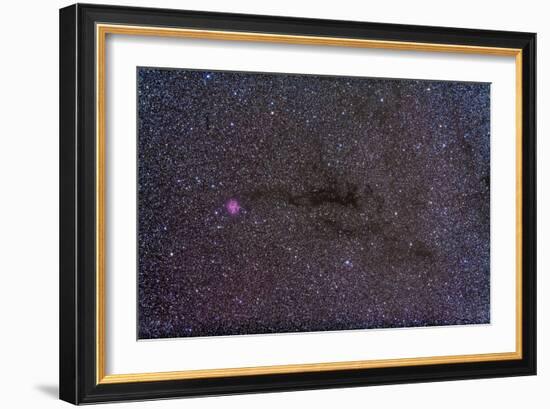 The Cocoon Nebula in the Constellation Cygnus-null-Framed Photographic Print