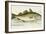 The Cod Fish-E. Albin-Framed Giclee Print