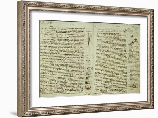 The Codex Hammer-Leonardo da Vinci-Framed Giclee Print