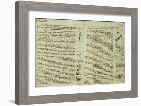 The Codex Hammer-Leonardo da Vinci-Framed Giclee Print