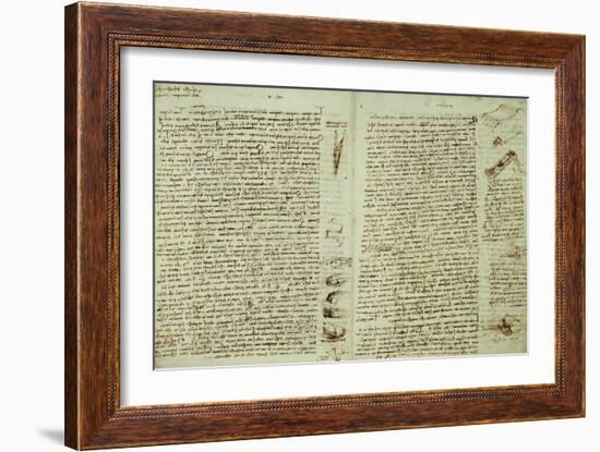 The Codex Hammer-Leonardo da Vinci-Framed Giclee Print