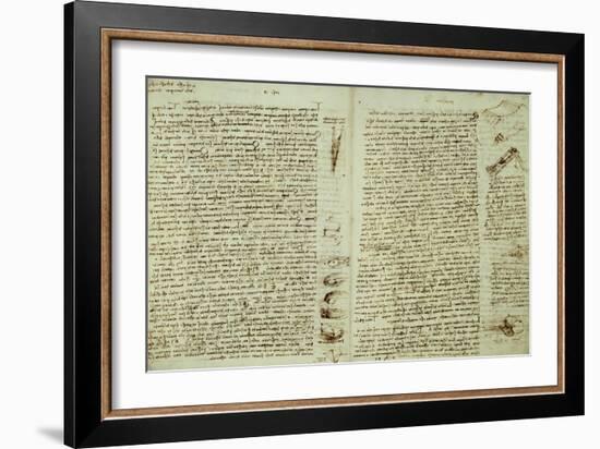 The Codex Hammer-Leonardo da Vinci-Framed Giclee Print