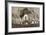 The Coffin of French Writer Victor Hugo-null-Framed Giclee Print