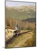 The Cog Railroad on Mt. Washington in Twin Mountain, New Hampshire, USA-Jerry & Marcy Monkman-Mounted Photographic Print