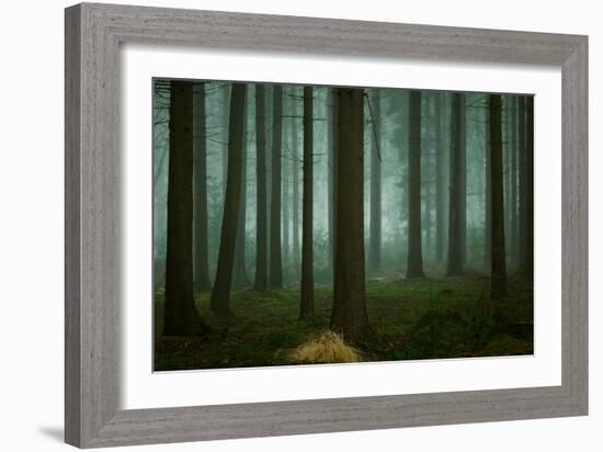 The Cold, Dark Days of Winter-Ellen Borggreve-Framed Giclee Print