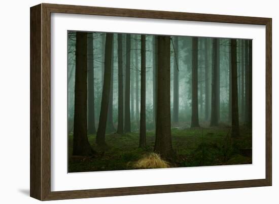 The Cold, Dark Days of Winter-Ellen Borggreve-Framed Giclee Print