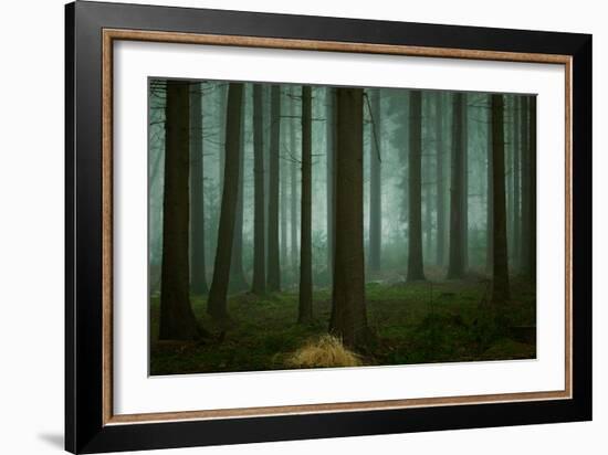 The Cold, Dark Days of Winter-Ellen Borggreve-Framed Giclee Print