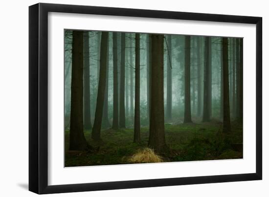 The Cold, Dark Days of Winter-Ellen Borggreve-Framed Giclee Print