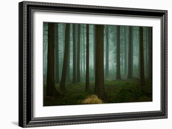 The Cold, Dark Days of Winter-Ellen Borggreve-Framed Giclee Print